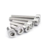 Baut Soket Hex SS